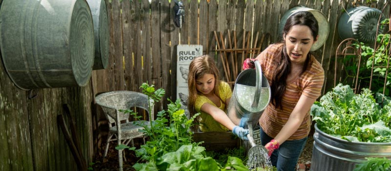 Garden Store in Flushing, MI | Tractor Supply Co.